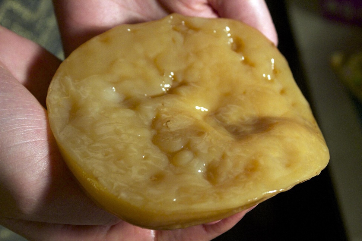Jar of kombucha with a SCOBY